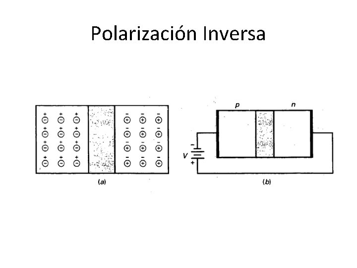 Polarización Inversa 