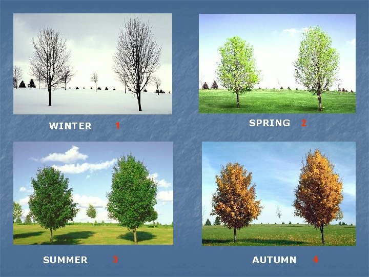 WINTER SUMMER 1 3 SPRING AUTUMN 2 4 