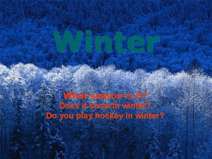 Winter What season is it? Does it snow in winter? Do you play hockey