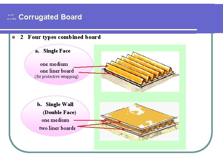 二. Corrugated Board l 2 Four types combined board a. Single Face one medium