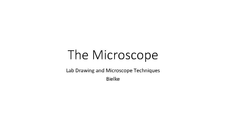 The Microscope Lab Drawing and Microscope Techniques Bielke 