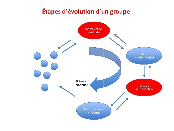 Étapes d’évolution d’un groupe Recherche des similitudes Phase d’uniformisation Richesse du groupe Fonctionnement différencié