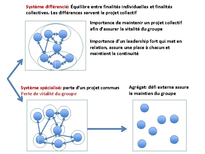 Système différencié: Équilibre entre finalités individuelles et finalités collectives. Les différences servent le projet