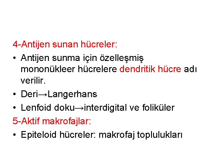 4 -Antijen sunan hücreler: • Antijen sunma için özelleşmiş mononükleer hücrelere dendritik hücre adı