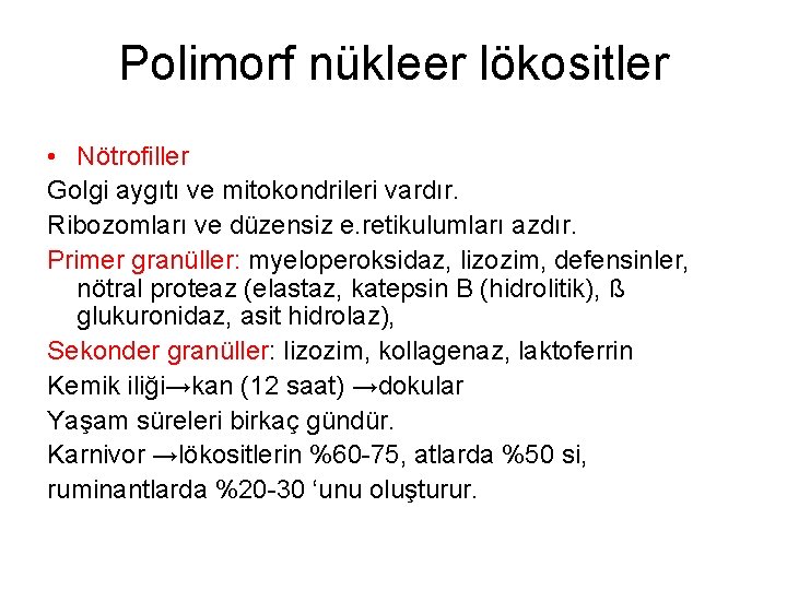 Polimorf nükleer lökositler • Nötrofiller Golgi aygıtı ve mitokondrileri vardır. Ribozomları ve düzensiz e.