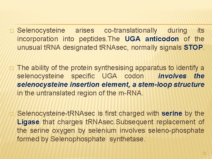 � Selenocysteine arises co-translationally during its incorporation into peptides. The UGA anticodon of the
