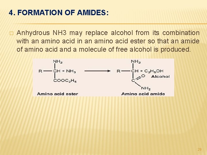 4. FORMATION OF AMIDES: � Anhydrous NH 3 may replace alcohol from its combination