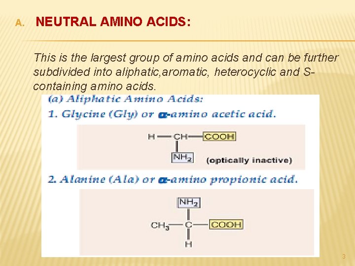 A. NEUTRAL AMINO ACIDS: This is the largest group of amino acids and can