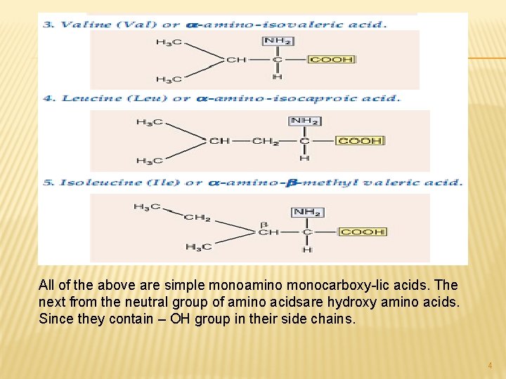 All of the above are simple monoamino monocarboxy-lic acids. The next from the neutral