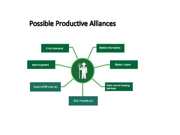 Possible Productive Alliances Buyers/Off taker(s) BDS Provider(s) 