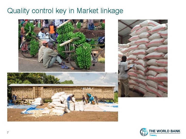 Quality control key in Market linkage 7 