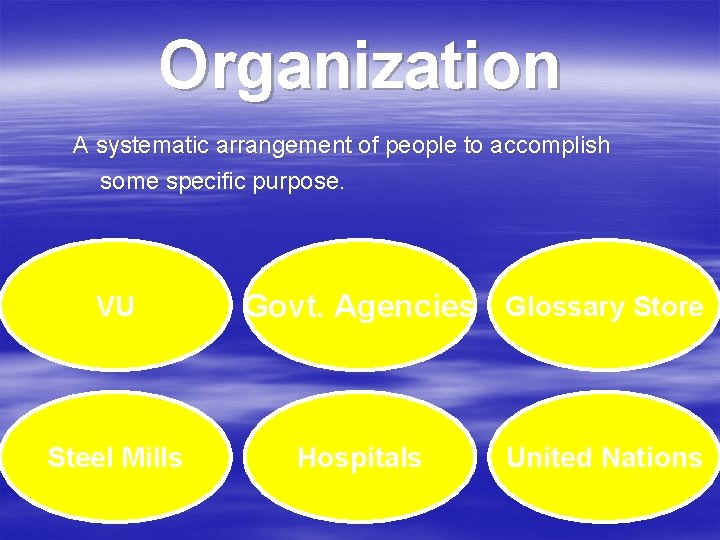 Organization A systematic arrangement of people to accomplish some specific purpose. VU Steel Mills