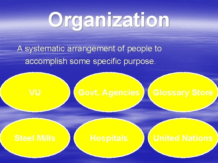 Organization A systematic arrangement of people to accomplish some specific purpose. VU Govt. Agencies