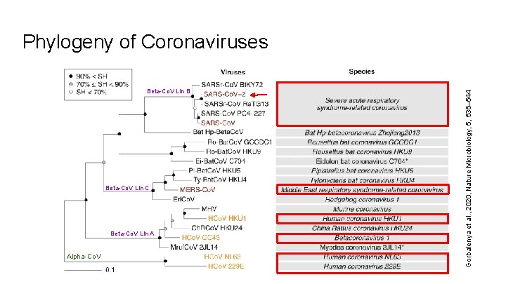 Beta-Co. V Lin B Beta-Co. V Lin C Beta-Co. V Lin A Alpha-Co. V
