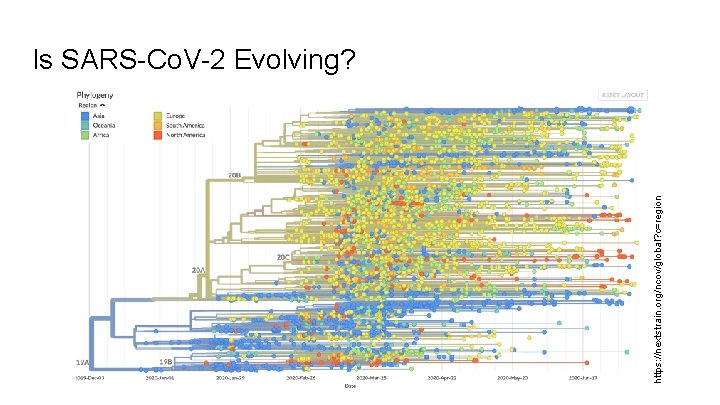https: //nextstrain. org/ncov/global? c=region Is SARS-Co. V-2 Evolving? 
