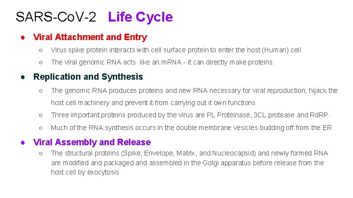 SARS-Co. V-2 Life Cycle ● Viral Attachment and Entry ○ Virus spike protein interacts