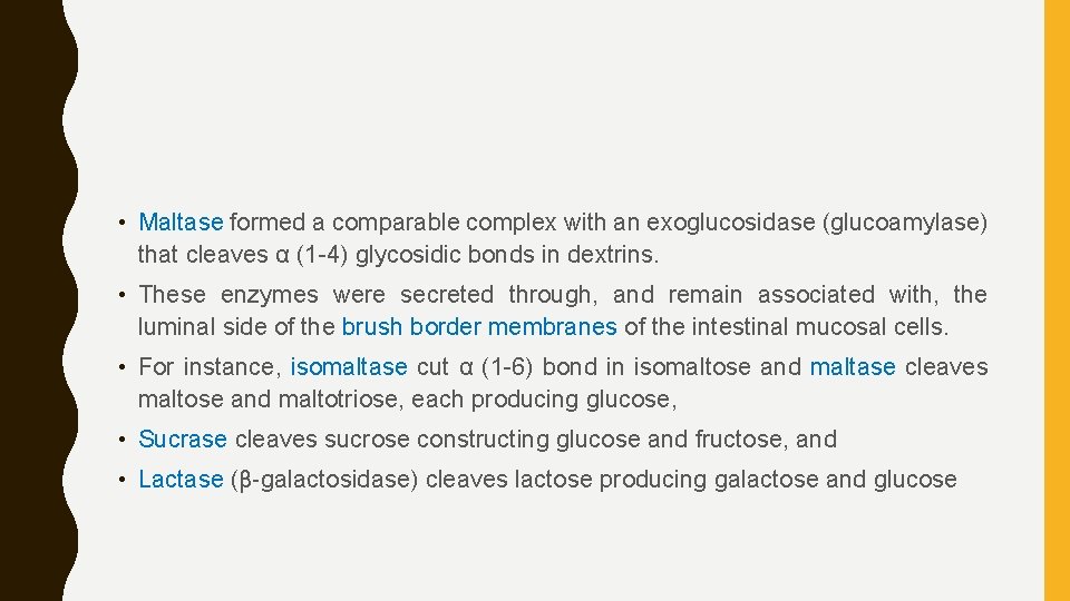  • Maltase formed a comparable complex with an exoglucosidase (glucoamylase) that cleaves α