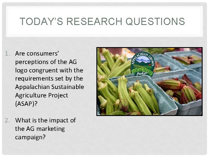 TODAY’S RESEARCH QUESTIONS 1. Are consumers’ perceptions of the AG logo congruent with the