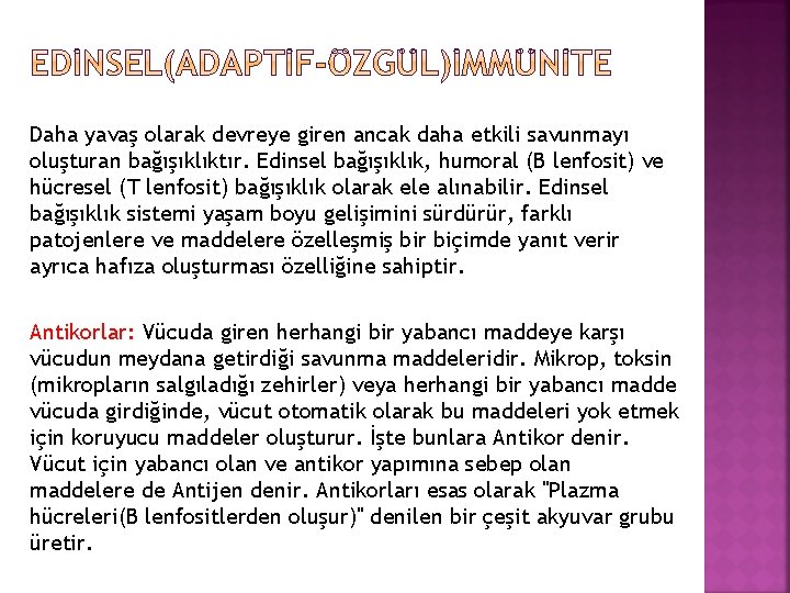 Daha yavaş olarak devreye giren ancak daha etkili savunmayı oluşturan bağışıklıktır. Edinsel bağışıklık, humoral