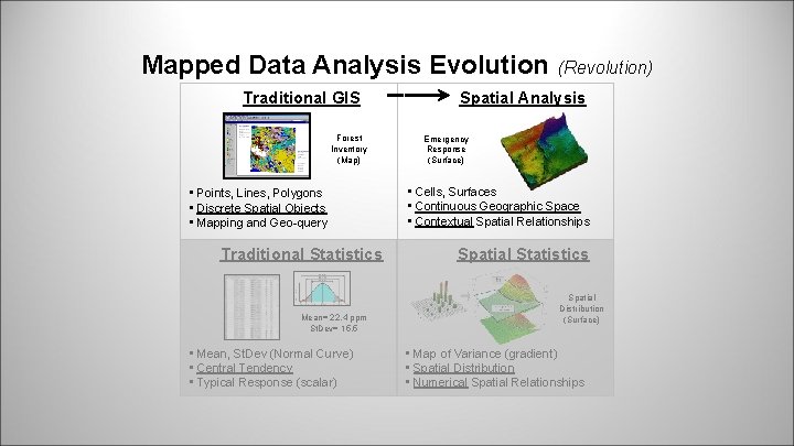 Future Directions of GIS in Forestry Extending Gridbased