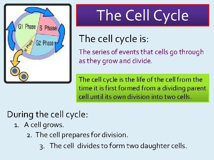 The Cell Cycle The cell cycle is: The series of events that cells go