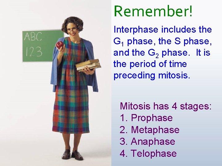 Remember! Interphase includes the G 1 phase, the S phase, and the G 2