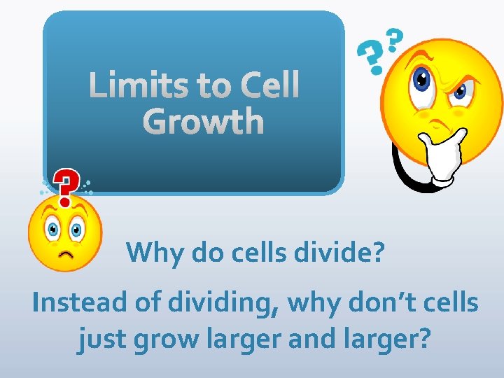 Why do cells divide? Instead of dividing, why don’t cells just grow larger and