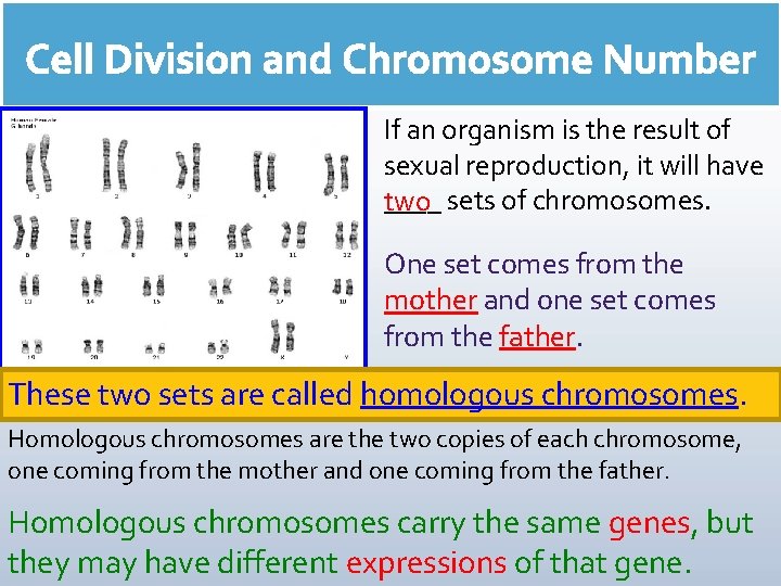 If an organism is the result of sexual reproduction, it will have ____ two