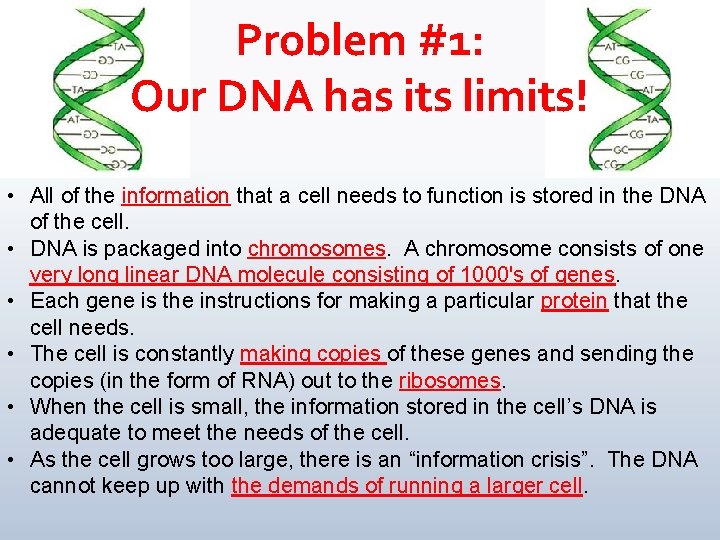 Problem #1: Our DNA has its limits! • All of the information that a