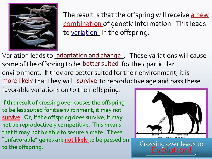 The result is that the offspring will receive a new combination of genetic information.