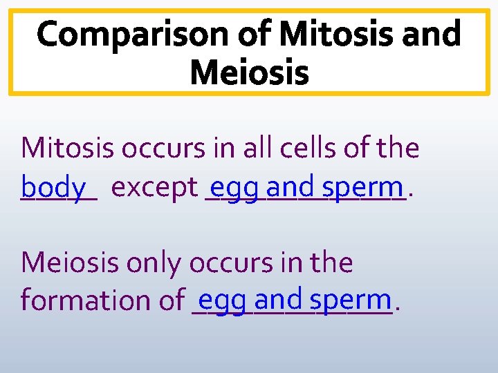 Mitosis occurs in all cells of the egg and sperm _____ except _______. body
