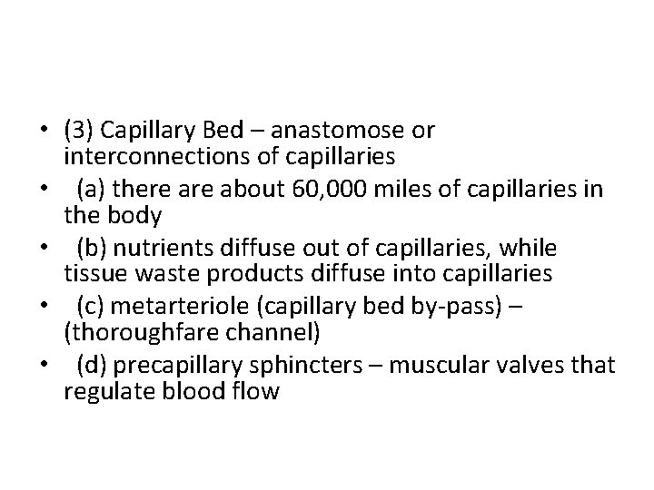  • (3) Capillary Bed – anastomose or interconnections of capillaries • (a) there