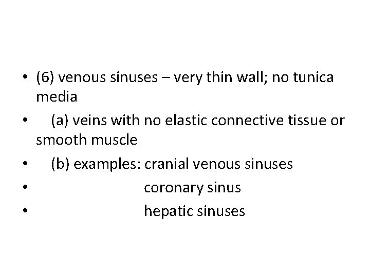  • (6) venous sinuses – very thin wall; no tunica media • (a)