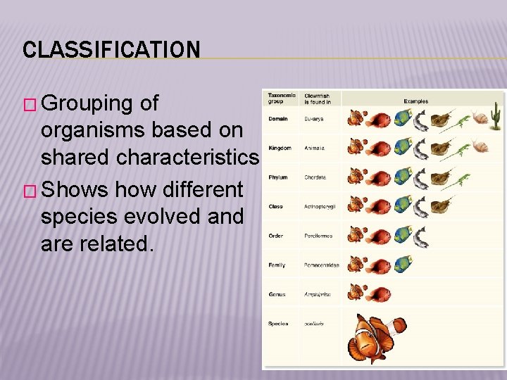 CLASSIFICATION � Grouping of organisms based on shared characteristics. � Shows how different species