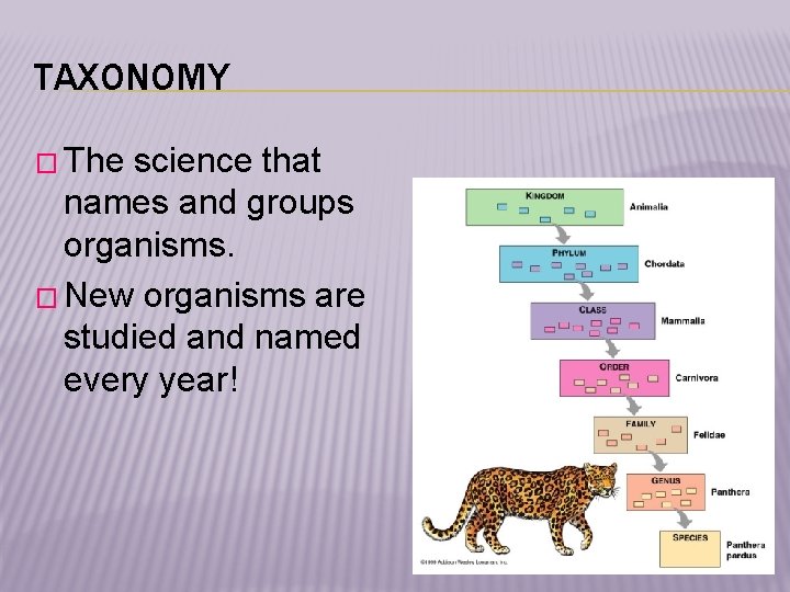 TAXONOMY � The science that names and groups organisms. � New organisms are studied