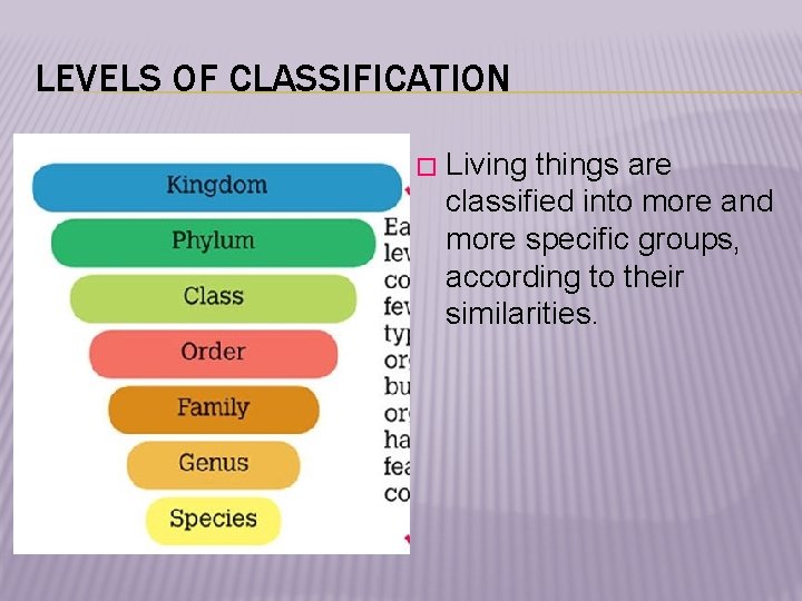 LEVELS OF CLASSIFICATION � Living things are classified into more and more specific groups,