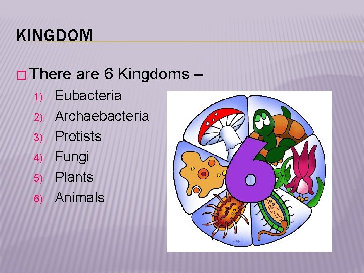 KINGDOM � There 1) 2) 3) 4) 5) 6) are 6 Kingdoms – Eubacteria
