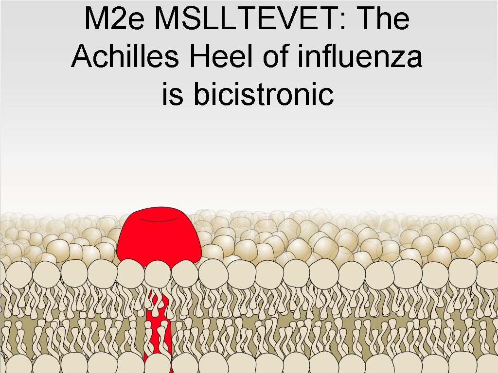 M 2 e MSLLTEVET: The Achilles Heel of influenza is bicistronic 