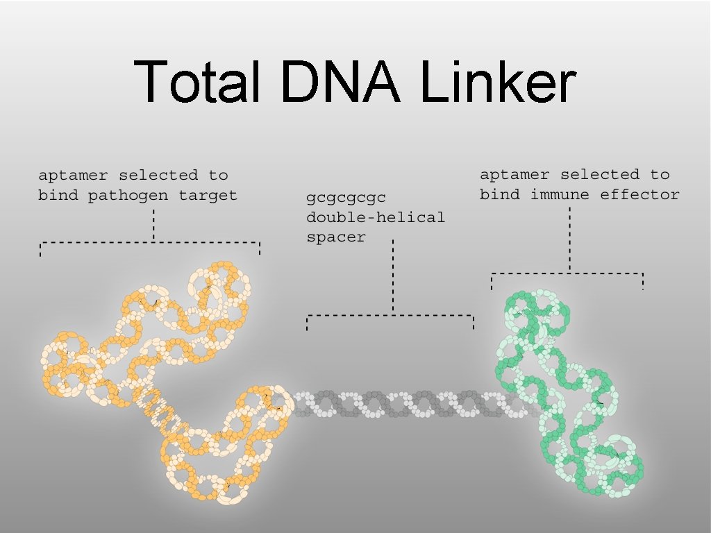 Total DNA Linker 