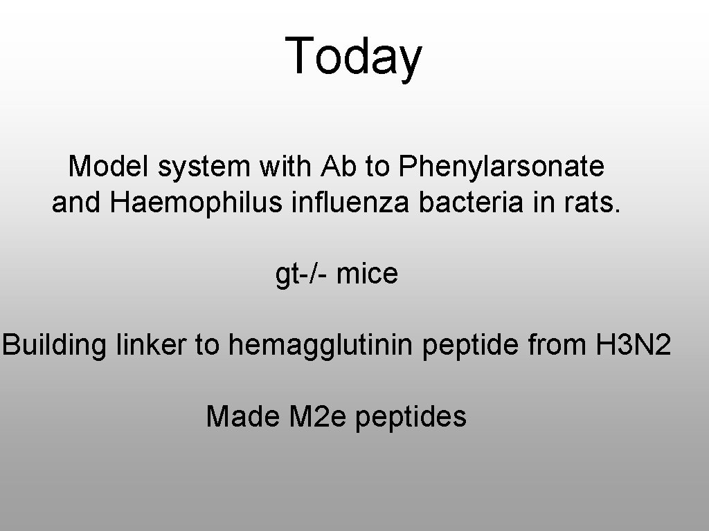 Today Model system with Ab to Phenylarsonate and Haemophilus influenza bacteria in rats. gt-/-