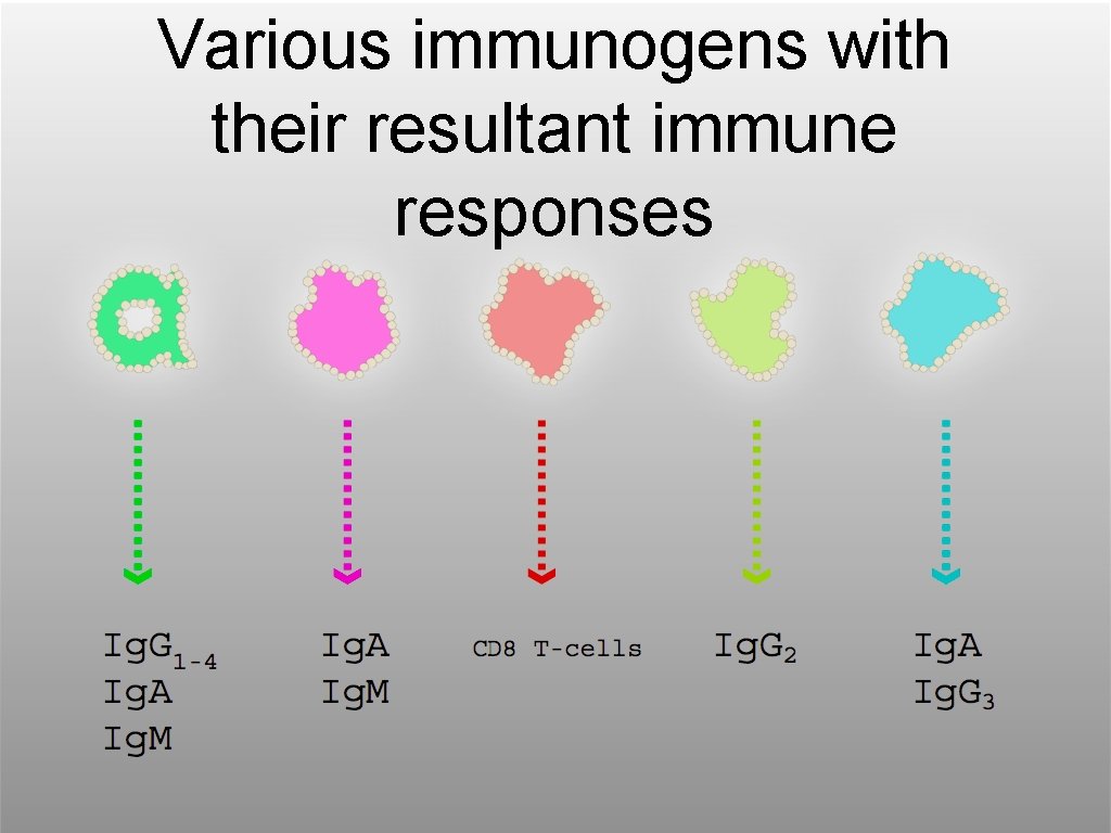 Various immunogens with their resultant immune responses 