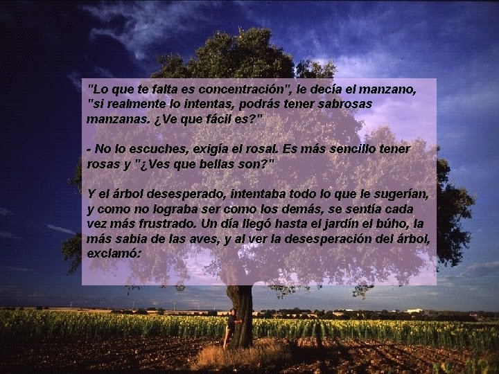 "Lo que te falta es concentración", le decía el manzano, "si realmente lo intentas,