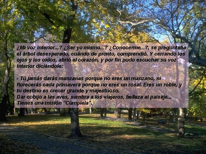 ¿Mi voz interior. . . ? ¿Ser yo mismo. . . ? ¿Conocerme. .
