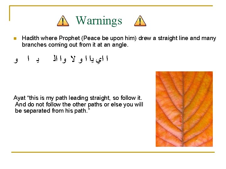 Warnings n ﻭ Hadith where Prophet (Peace be upon him) drew a straight line