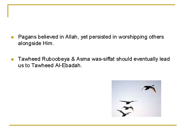 n Pagans believed in Allah, yet persisted in worshipping others alongside Him. n Tawheed