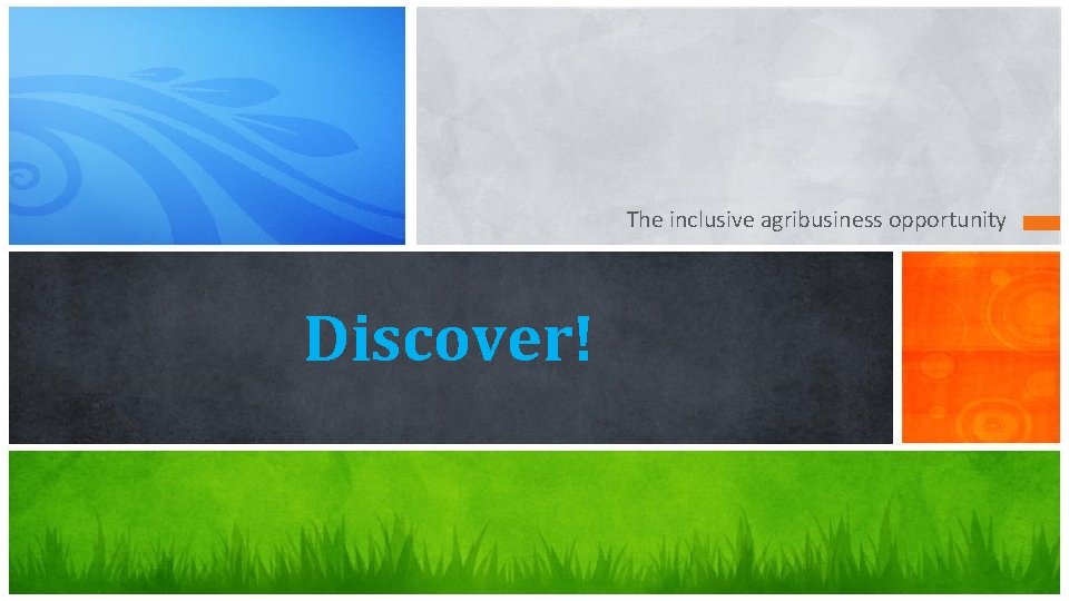 The inclusive agribusiness opportunity Discover! 