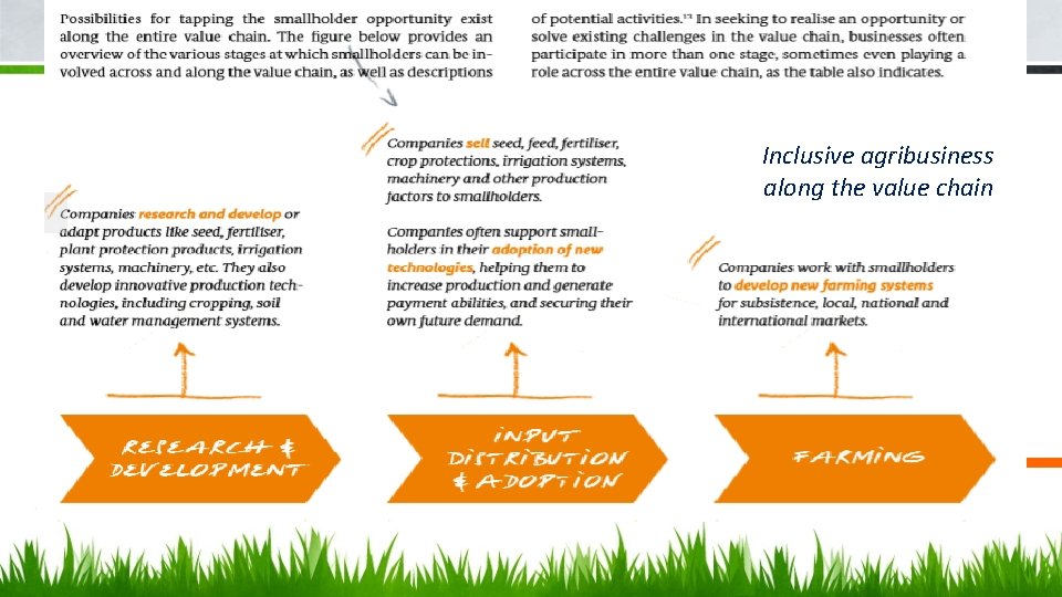 Inclusive agribusiness along the value chain 
