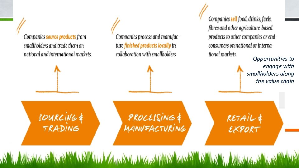 Opportunities to engage with smallholders along the value chain 
