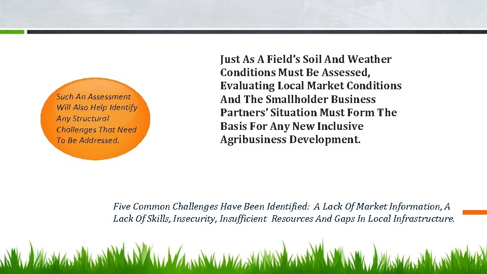 Such An Assessment Will Also Help Identify Any Structural Challenges That Need To Be