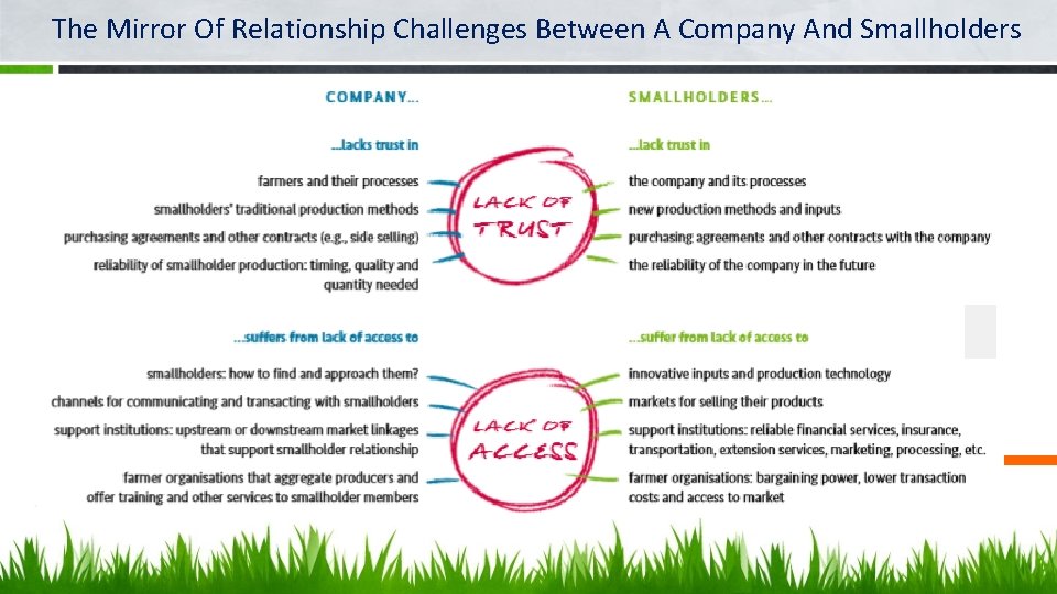 The Mirror Of Relationship Challenges Between A Company And Smallholders 